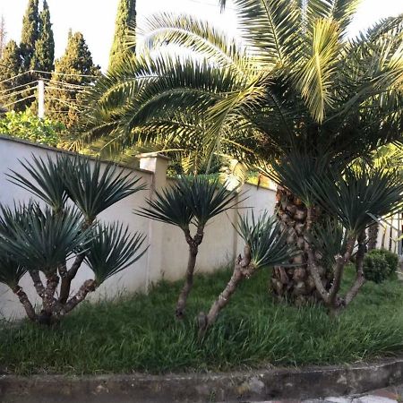 Guest House Dali กากรา ภายนอก รูปภาพ