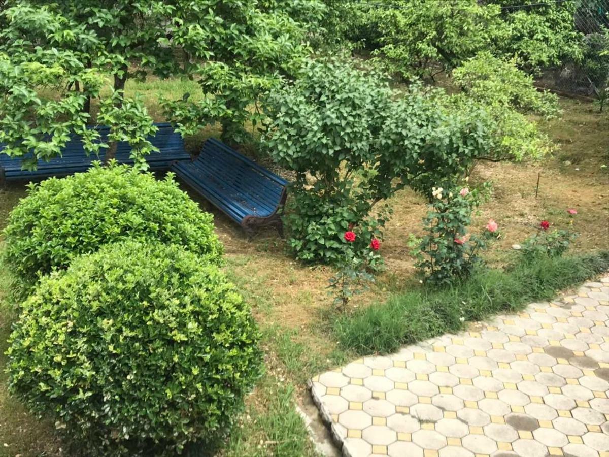 Guest House Dali กากรา ภายนอก รูปภาพ