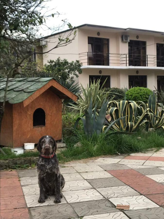 Guest House Dali กากรา ภายนอก รูปภาพ